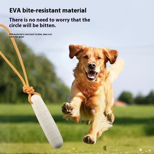 Groothandel Nieuwe Lichtgevende Eva Bite <span class=keywords><strong>Stick</strong></span> Voor Honden Buitensport Interactief Huisdier Speelgoed Met Het Dragen Van Touw Voor Buitenlandse Handel - Product Image 2