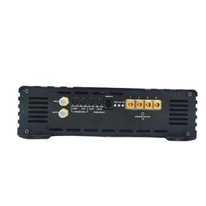 Vente directe usine – Amplificateur mono 16000W haute puissance 1 canal pour subwoofer, plaque d'amplification audio automobile brésilienne classe D avec crossovers - Product Image 5