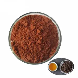 Zwarte Thee Hoge Kwaliteit Extract Poeder Theaflavine 20% 40% 50% 60%