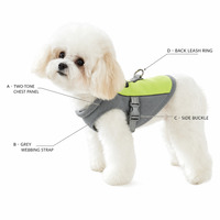 Harnais pour chien en maille souple avec laisse, ensemble anti-traction réglable pour chiens de petite et moyenne taille, chiots