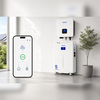 5.12kWh 51.2V 低压家用电器备用电源 LiFePO4 锂电池 100Ah 可堆叠服务器机架太阳能智能 BMS IP55