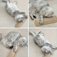 Coussin de jeu et griffoir pour chat pour le jeu individuel et l'interaction intime, pour garder votre ami félin heureux et apaisé