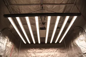 新製品アイディア2023垂直農業LED商用グローライト1000ワットLEDグローライト白色水銀価格