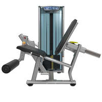 Machine professionnelle commerciale réglable pour l'extension des jambes assise - Équipement d'entraînement de force en acier, capacité 201 kg