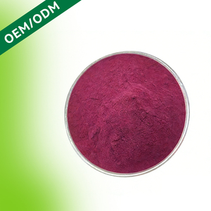 Extracto <span class=keywords><strong>de</strong></span> Arándano HDK Premium <span class=keywords><strong>en</strong></span> Polvo para la Salud del Tracto Urinario, Apoyo para las Infecciones Urinarias, Bienestar Femenino, Suplemento Antioxidante Natural - Product Image 1