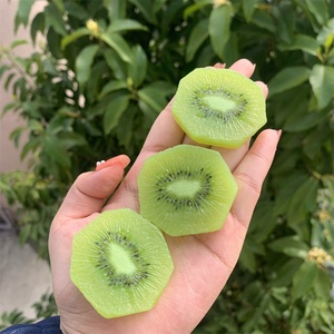 Rebanadas de Kiwi Artificiales de PVC Realistas, Pequeñas e Irregulares, Decoración de Frutas Falsas, Modelo de Comida Simulada Verde, DIY 1:1 - Product Image 3
