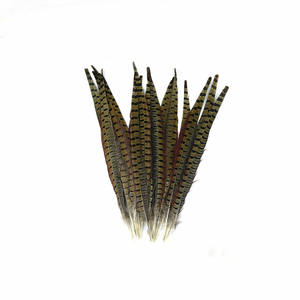 Plumas de Cola de Faisán Reeves 35-40cm Naturales para Manualidades, Decoración del Hogar y Disfraces de Carnaval - Product Image 5