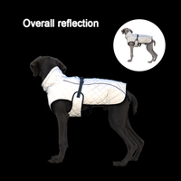 Veste pour chien et chat grande taille personnalisée VPETBR, luxe moderne, printemps été, imperméable, coupe-vent, fibre réfléchissante, manteau pour animaux de compagnie d'extérieur