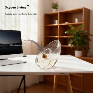 <span class=keywords><strong>Vase</strong></span> hydroponique moderne en verre en forme d'<span class=keywords><strong>avocat</strong></span> conteneur de plantation et de culture de graines <span class=keywords><strong>Vase</strong></span> spécial Pot jardinage - Product Image 4