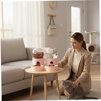 Distributeur automatique d'aliments pour animaux de compagnie en forme de capsule spatiale, avec gamelle et fontaine à eau de 0,8 L pour petits chiens et chats