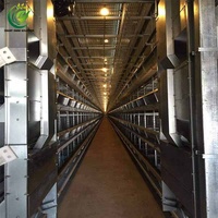Système de cages en batterie de type H entièrement automatique pour 20 000 poulets, galvanisé à chaud, directement de l'usine, pour poulaillers