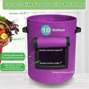 Fournitures de jardin, <span class=keywords><strong>pot</strong></span> de culture de bleuets de 4/7/10 gallons, pots de culture de plantes colorés pour enfants, jardin - Product Image 4