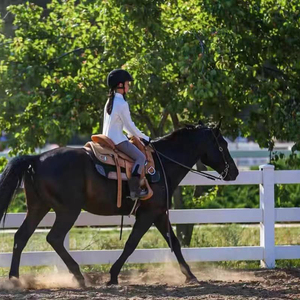 Nhà Máy 3-đường sắt ngựa hàng rào trong vật liệu PVC cho cưỡi Arena đồng cỏ và trang trại sân nhà máy giá bán buôn - Product Image 1