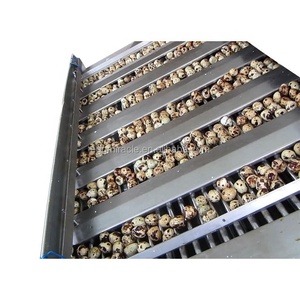 เครื่องปอกเปลือก<span class=keywords><strong>ไข่</strong></span>นกกระทาเครื่องปอกเปลือกไข่นกกระทาแบบต้มดีไซน์ใหม่ - Product Image 4