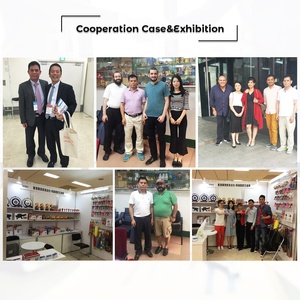 Figura de Anime Destiny Princess OEM, Juguetes para Niños, Coleccionables para Niñas, Figuras de Acción de la <span class=keywords><strong>Serie</strong></span> Destiny Princess - Product Image 4