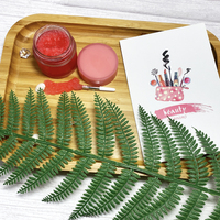 Kit de Soin des Lèvres au Sucre Rose de 20g Marque Privée avec Baume et Gommage Lèvres 20g, Vente en Gros de Produits de Soin des Lèvres