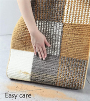 Tapis d'entrée très absorbant pour intérieur, lavable, antidérapant, pour éliminer la boue des chiens, tapis de bienvenue pour hall d'entrée