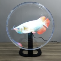 Ventilateur holographique 3D LED G224-32 32 cm à vente chaude avec système gratuit Ventilateur LED 3D Affichage holographique 3D avec couvercle de protection