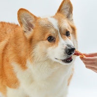 Oreille de lapin avec poulet Friandises pour chiens Vente en gros de friandises de dressage pour chiens Marque privée OEM Friandises naturelles à mâcher pour chiens