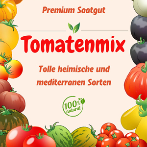 Ensemble de <span class=keywords><strong>tomates</strong></span> 16 x 10 cueillies à la main, 100% naturelles, <span class=keywords><strong>anciennes</strong></span> <span class=keywords><strong>variétés</strong></span> du Portugal, fournitures de jardin rares - Product Image 1