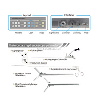 Cámara Endoscópica Veterinaria 3 en 1 Full HD para Diagnóstico de Mascotas, Fuente de Luz Fría de 100W, Salida USB/HDMI