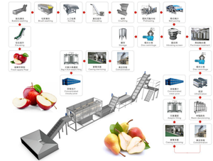 Línea Completa de Producción de Concentrado de Frutas (Piña y Naranja) con Acero Inoxidable 304, Bomba PLC y Motor, Línea de Procesamiento de Frutas - Product Image 5