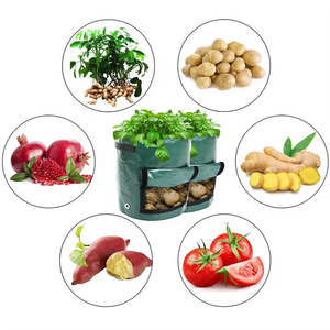 Heavy Duty PE 150gsm Reusable Foldable Eco-Friendly 5 Gallon Capacity <strong>Potato</strong> <strong>Planter</strong> Grow Bags Ventilation Vegetable Planting - Product Image 5