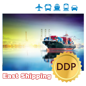 Spedizione verso gli Stati Uniti Agente Logistico Cinese Spedizioniere DDP Porta a Porta dalla Cina agli Stati Uniti - Product Image 3