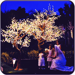 Guirlande lumineuse LED d'extérieur imperméable pour Noël, couleur personnalisée, éclairage décoratif de parc, éclairage des cerisiers en fleurs - Product Image 6