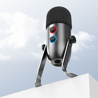 Microphone à condensateur USB sans fil professionnel avec suppression du bruit pour studio d'enregistrement, diffusion en direct sur ordinateur de bureau