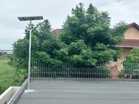 Lampe solaire extérieure en carbone bleu 100W 200W 300W 400W 500W pour la rue de route tout en un réverbères à énergie solaire Led intégrés