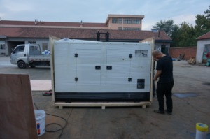 Anma gücü 240kW jeneratör seti ATS ile tek veya üç fazlı sessiz tip dizel jeneratör - Product Image 6