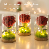 Lampe lumineuse oeillet en pot crochet fleur verre abat-jour fleur éternelle décoration de la maison Thanksgiving cadeau de fête des mères