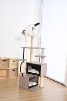 Arbre à chat multi-niveaux avec deux condos et un hamac pour chats d'intérieur