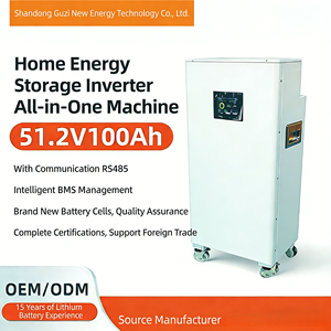 Système de stockage d'énergie photovoltaïque domestique hybride/hors réseau personnalisé 5kW LiFePO4 48V-300V pour 5/10 degrés d'électricité - Product Image 4