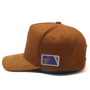 5 Bảng điều chỉnh tùy chỉnh 3D thêu logo cong vành mũ bóng chày Mũ bán buôn Chất lượng cao 100% bông Bảng điều khiển phía trước unisex người lớn - Product Image 4