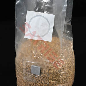 Bolsas de Cultivo de Hongos Cuadradas de Polipropileno (PP) Transpirable de 0.2 Micras con Puerto de Inyección Autocurable - Product Image 2