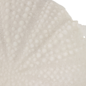 Decorative Sea Urchin Wall Decor Modern Accent For Entryway Or Office Ornamental Wall <b>Hanging</b> Natural <b>White</b> Round Shapes - Product Image 4