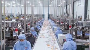 Máquina de Envasado al Vacío por Termoformado Automática Elemotion para Bolsas de Alimentos, Dátiles, Carne Seca, Huevo, Carne, Mariscos, con Bomba de Motor y PLC - Product Image 6