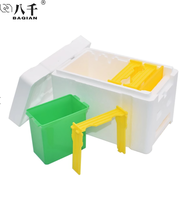 Mini ruche en plastique pour apiculteur, équipement apiculture en polystyrène, boîte EPS Queen Nuc, accouplement d'abeille, ruche en plastique, Offre Spéciale
