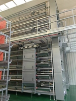 Nouvelle cage à poulets automatique de type H en acier galvanisé, conception à 3-8 niveaux, capacité de 90 à 200 poulets, facile à nettoyer
