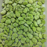Haricots verts surgelés IQF en gros d'usine, de haute qualité, provenant de Chine, 25 kg, coupés en tranches