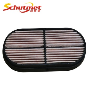 Pièces de camion de filtre à air de filtre à air automobile de haute qualité pour le cas OEM P600975 87037985 32/925683 - Product Image 6