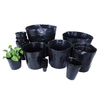 Dekorasi rumah kreatif besar Liner pohon plastik Pot biji Pot bunga meja Mini untuk tanaman sukulen warna-warni warna untuk taman