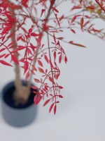 Bambou vert artificiel décoratif, 1 pièce, 180CM, plante rouge, décoration intérieure et extérieure