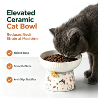 Gamelle surélevée en céramique pour chat, inclinée, protection du cou, vente en gros, OEM, ODM, fournisseur de logos personnalisés