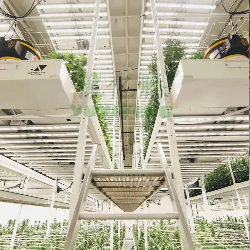 Indoor Farm Rack Growing Vertical Hydroponic System