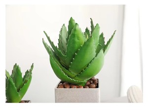 Plantas Artificiales Realistas de <span class=keywords><strong>Aloe</strong></span> <span class=keywords><strong>Vera</strong></span> en Macetas de Cemento, Pequeñas Suculentas Artificiales para Decoración de Hogar, Oficina, Escritorio, Estante, Bonsái Minimalista - Product Image 4