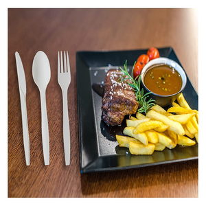 <span class=keywords><strong>2025</strong></span> trọng lượng trung bình dùng một lần phân hủy sinh học PP PLA dĩa thìa 2.5g nhựa dao kéo đồ dùng cho các sự kiện bên Bộ đồ ăn - Product Image 5