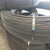 Fil d'acier à faible teneur en carbone à haute résistance à la traction 3mm 4mm 5mm 6mm Fil PC Fil d'acier pour béton précontraint